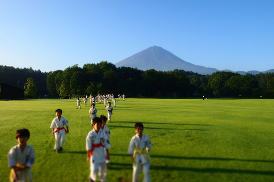 2016 サマーキャンプ 最終日 散歩 芝生