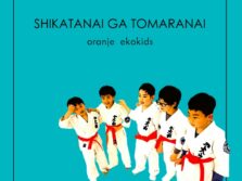 シカタナイがとまらない