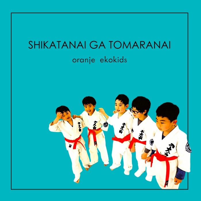 シカタナイがとまらない